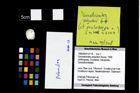 Foto (Objekt + Etikett) von Goniodromites polyodon (Reuss, 1858)  (NHMW-GEO-1990-0041-2714)